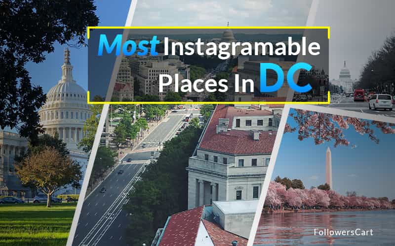 Most Instagrammable Places in Washington DC